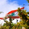 Quốc kỳ của Liban. (Nguồn: Pinterest)