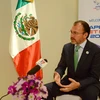 Bộ trưởng Ngoại giao Mexico Luis Vedegaray trả lời phỏng vấn Thông tấn xã Việt Nam. (Ảnh: TTXVN)