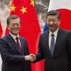 Tổng thống Hàn Quốc Moon Jae-in và Chủ tịch Trung Quốc Tập Cận Bình. (Nguồn: AP)
