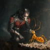 Một cảnh trong phim Ant-Man and the Wasp. (Nguồn: time.com)