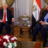 Ngoại trưởng Mỹ Rex Tillerson và người đồng cấp Ai Cập Sameh Shoukry. (Nguồn: AFP/Getty Images)