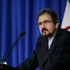 Người phát ngôn Bộ Ngoại giao Iran Bahram Qasemi. (Nguồn: radiofarda.com)
