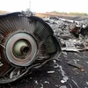 Hiện trường vụ máy bay MH17. (Nguồn: AFP/Getty Images)