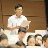 Đại biểu Quốc hội tỉnh Bình Dương Nguyễn Thanh Hồng phát biểu. (Ảnh: Phương Hoa/TTXVN)