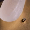 Chế tạo thành công "máy tính" nhỏ nhất thế giới bé hơn cả hạt gạo