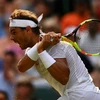 Nadal lần đầu vào tứ kết Wimbledon sau 7 năm. (Nguồn: Getty Images)