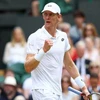 Anderson giành vé vào chung kết Wimbledon 2018. (Nguồn: AFP)