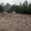 Nhiều sông suối tại Lào Cai nước lũ dâng cao do mưa lớn. (Ảnh: TTXVN phát)
