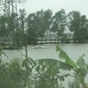 Nước ngập do mưa bão ở Nghệ An. (Ảnh: Nguyễn Văn Nhật/TTXVN)