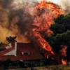 Hiện trường vụ cháy. (Nguồn: AFP/Getty Images)