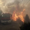 Khói lửa bốc lên từ đám cháy rừng ở Neo Voutsa, ngoại ô thủ đô Athens, Hy Lạp ngày 23/7. (Ảnh: EPA-EFE/TTXVN)