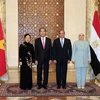 Tổng thống Ai Cập Abdel Fattah Al Sisi và Phu nhân đón Chủ tịch nước Trần Đại Quang và Phu nhân. (Ảnh: Nhan Sáng/TTXVN)