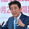 Thủ tướng Nhật Bản Shinzo Abe. (Nguồn: nikkei.com)