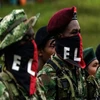 Nhóm nổi dậy Quân đội Giải phóng Quốc gia (ELN) của Colombia. (Nguồn: thebogotapost)