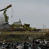 Xác máy bay MH17 bị bắn rơi. (Nguồn: Sputnik)