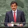 Quốc vương Qatar Sheikh Tamim bin Hamad al-Thani. (Nguồn: news.un.org)