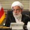 Giáo chủ Iran Mohammadali Movahedi Kermani. (Nguồn: tasnimnews.com)