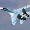 Máy bay Su-27 của Nga. (Nguồn: AP)