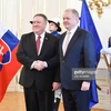 Ngoại trưởng Mỹ Mike Pompeo (trái) hội kiến Tổng thống Slovakia Andrej Kiska. (Nguồn: Getty Images)