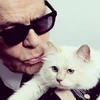 'Cô mèo' Choupette có thể được thừa kế tài sản của Lagerfeld. (Nguồn: The Times)