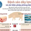 [Infographics] Bệnh sán dây lợn và các biện pháp phòng bệnh