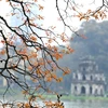 Trong ảnh: Vẻ đẹp quyến rũ của Hồ Gươm. (Ảnh: Minh Quyết - TTXVN)