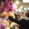 Các bạn trẻ trải nghiệm chợ hoa đêm Quảng Bá. (Ảnh: Nhật Anh/TTXVN)
