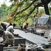 Người dân bày tỏ ý kiến với dự án lát gạch vỉa hè “vĩnh viễn" ở Hà Nội