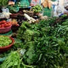 Nhiều loại rau xanh tại các chợ dân sinh Hà Nội đang duy trì mức giá cao do ảnh hưởng từ những diễn biến thất thường của thời tiết. (Ảnh: Việt Anh/Vietnam+)