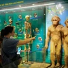 Khám phá bảo tàng mẫu vật của sự sống trong 3,6 tỷ năm ở Thủ đô 
