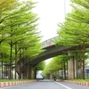 [Video] Ngắm những tuyến phố cây xanh đẹp nhất Hà Nội dịp vào Thu