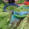 Ảnh hưởng của mưa lớn kéo dài tại các vùng sản xuất khiến giá rau xanh tại một số chợ dân sinh Hà Nội tăng cao. (Ảnh: Việt Anh/Vietnam+)