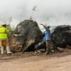 [Video] Khoảnh khắc đá lở rơi xuống đè nát ôtô 7 chỗ khi qua đèo
