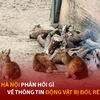 Bản tin 60s: Sở thú Hà Nội phản hồi gì về thông tin động vật bị đói, rét
