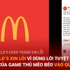 Bản tin 60s: McDonald’s xin lỗi vì dùng lời tuyệt mệnh của Mèo Béo để quảng cáo