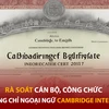 Bản tin 60s: Rà soát cán bộ, công chức dùng chứng chỉ Cambridge International