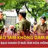 Bản tin 60s: Nhà hảo tâm không dám xem clip vụ trẻ bị bạo hành ở mái ấm Hoa Hồng