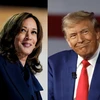 Bà Kamala Harris dẫn trước ông Donald Trump ở 6 bang "chiến trường" quan trọng