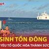 Sinh Tồn Đông: Nơi tình yêu Tổ quốc hóa thành sức mạnh 