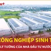 Khu công nghiệp sinh thái Việt Nam: Điểm đến lý tưởng của nhà đầu tư nước ngoài