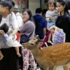 Một con hươu tưởng nhầm túi nylon của khách du lịch là đồ ăn. (Ảnh: Yomiuri Shimbun) 