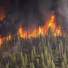 Cháy rừng tại Siberia. (Ảnh: Pixabay)