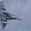 Máy bay chiến đấu F-18 của NATO. (Ảnh: Tass)