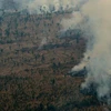 Rừng Amazon bị cháy lớn tàn phá nghiêm trọng. (Ảnh: AFP/Getty)