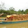 Chuyển hàng cứu nạn cho người dân bị ảnh hưởng do mưa lũ tại Quảng Bình. (Ảnh: Đức Thọ/TTXVN)