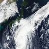 Bão Hagibis gây thiệt hại lớn khi đi vào bờ biển Nhật Bản