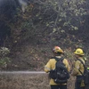 Lực lượng cứu hỏa nỗ lực dập lửa cháy rừng tại Los Angeles. (Ảnh: THX/ TTXVN)