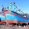Tàu cá của ngư dân tỉnh Bình Định. (Ảnh: Vũ Sinh/TTXVN)