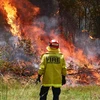 Một nhân viên chữa cháy tại New South Wales. (Ảnh: Stuff.co.nz)