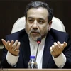 Thứ trưởng Ngoại giao Iran Abbas Araqchi. (Ảnh: IRNA/TTXVN)